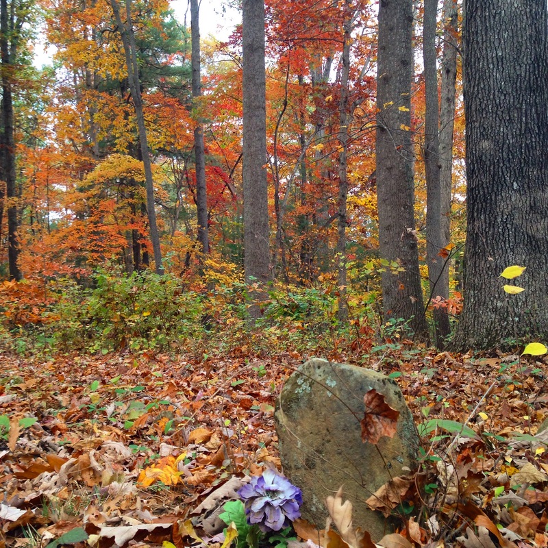 Slave graveyard in the fall woods. Asheville, NC. By Calm Cradle Photo & Design