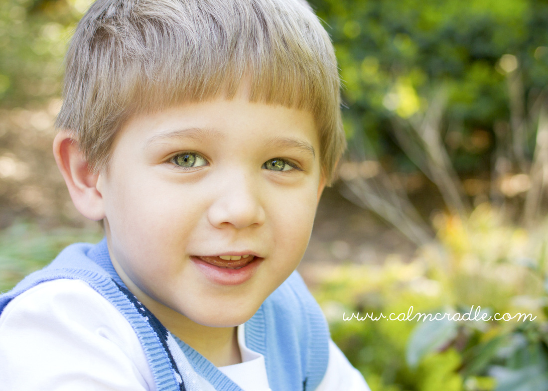Portraits: 4-year-old boy at the arboretum. Photography by Calm Cradle Photo & Design
