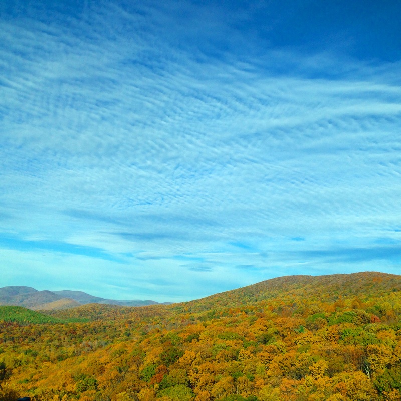 Fall foliage. Blue Ridge Mountains, Virginia. By Calm Cradle Photo & Design