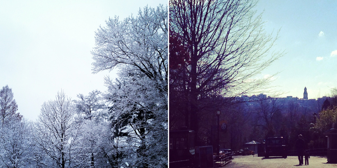 Left: Snowy day in DC. Right:Smithsonian National Zoo. Washington, DC. Calm Cradle Photo & Design