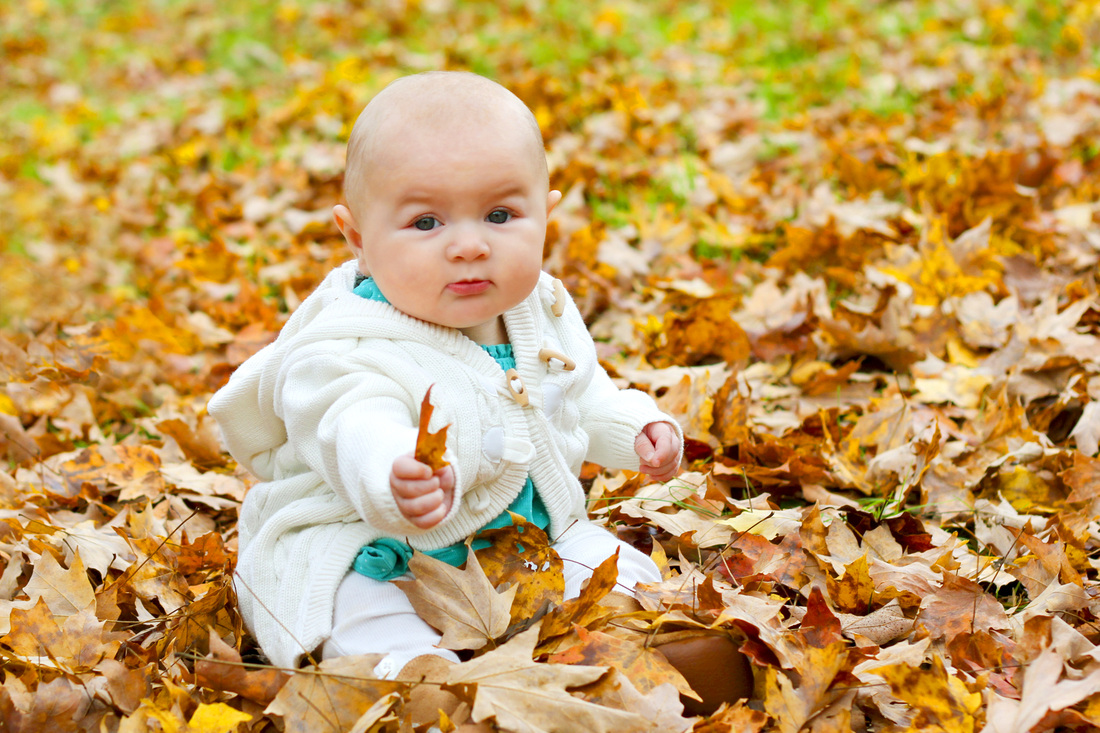Portrait: 6-month-old baby in teal sitting in orange leaves. By Calm Cradle Photo & Design
