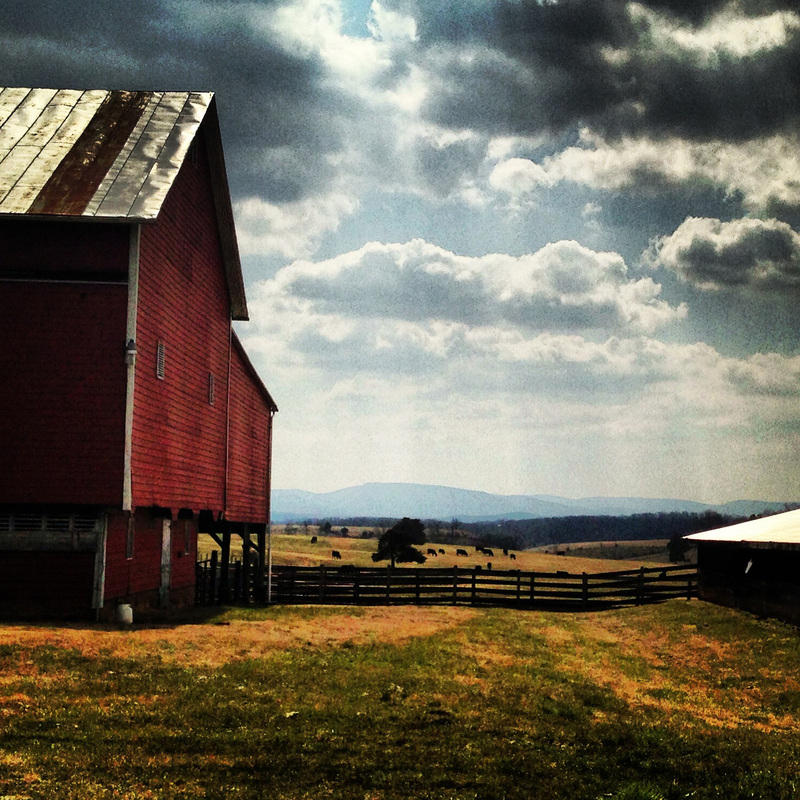 Farm with red barn in the Shenandoah Valley of Virginia. Calm Cradle Photo & Design
