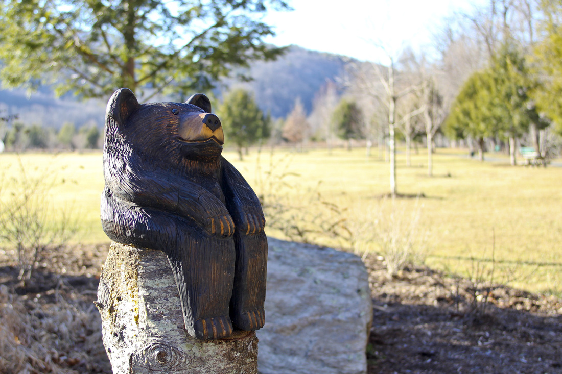 Carved bear at Valle Crucis Community Park. Calm Cradle Photo & Design