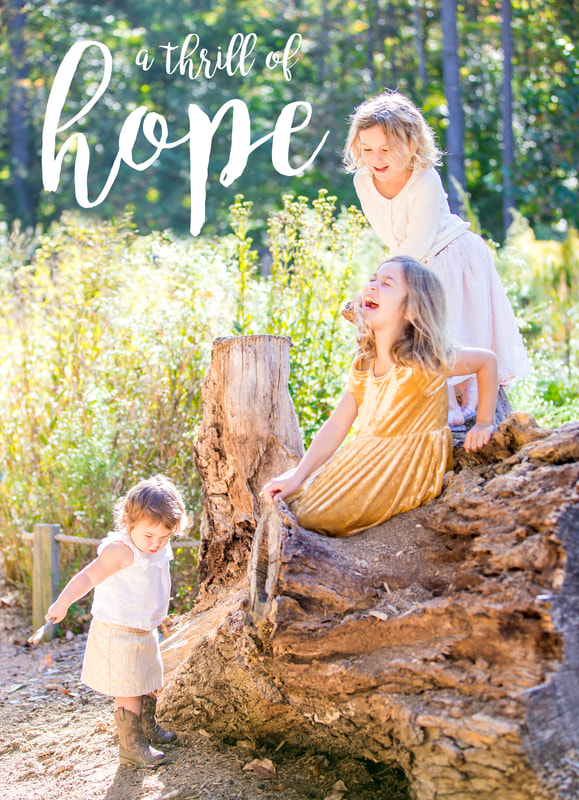Holiday card design. Portraits: three sisters in golden light.  A thrill of hope. Calm Cradle Photo & Design (Chapel Hill, NC)