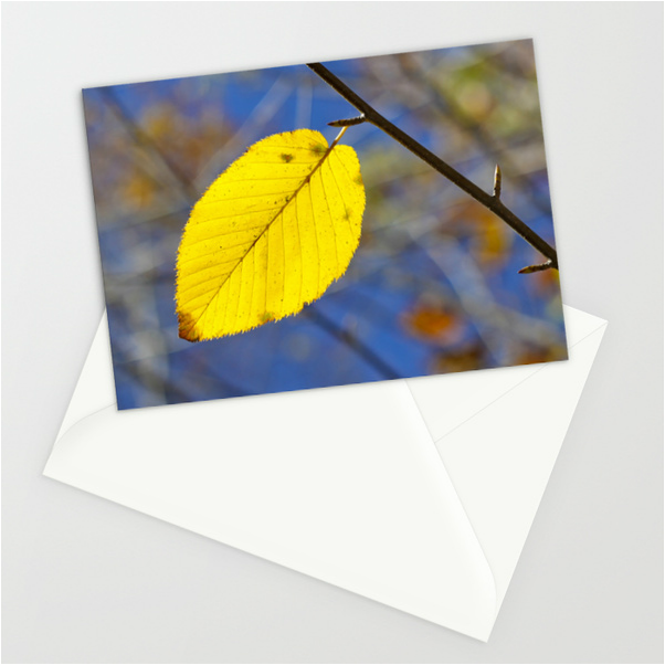 Pretty fall notecards: Yellow leaf against blue sky. By Calm Cradle Photo & Design
