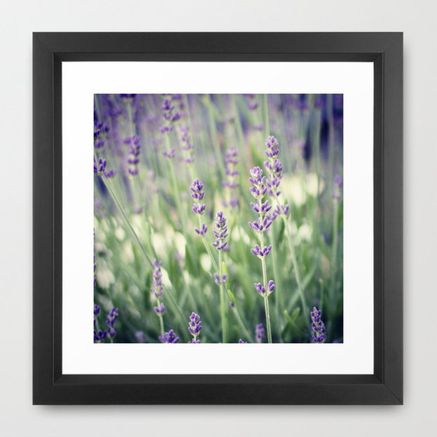 Lavender. By Calm Cradle Photo & Design