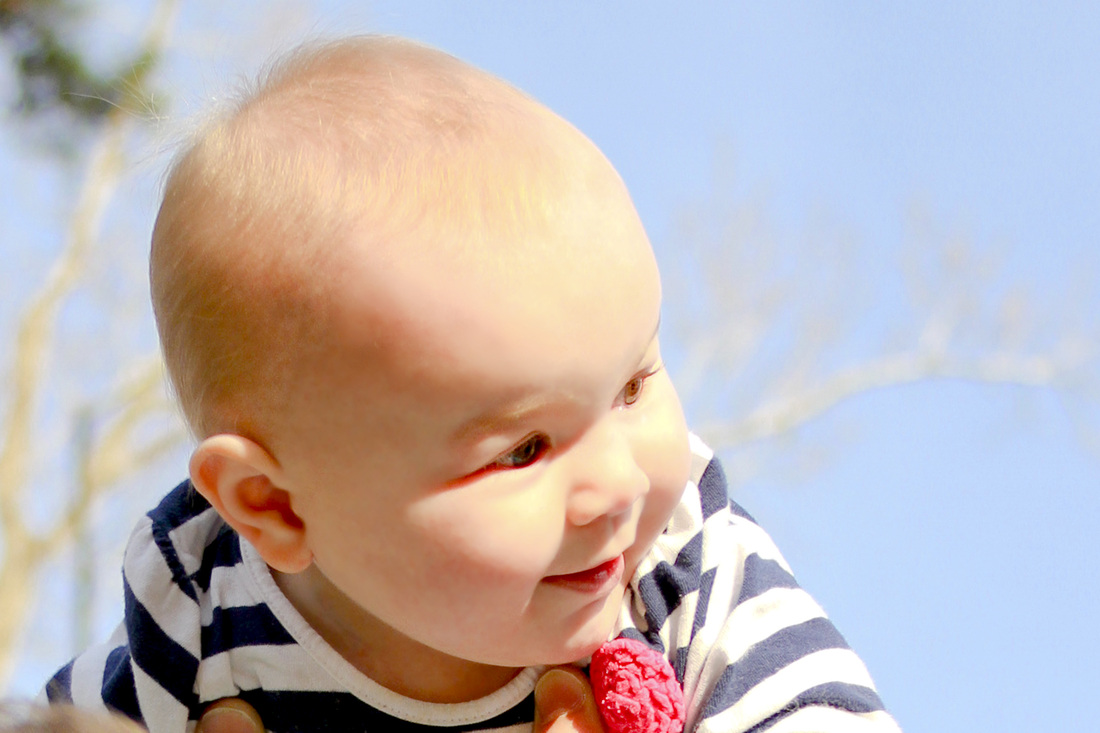 9-month baby portraits. Calm Cradle Photo & Design