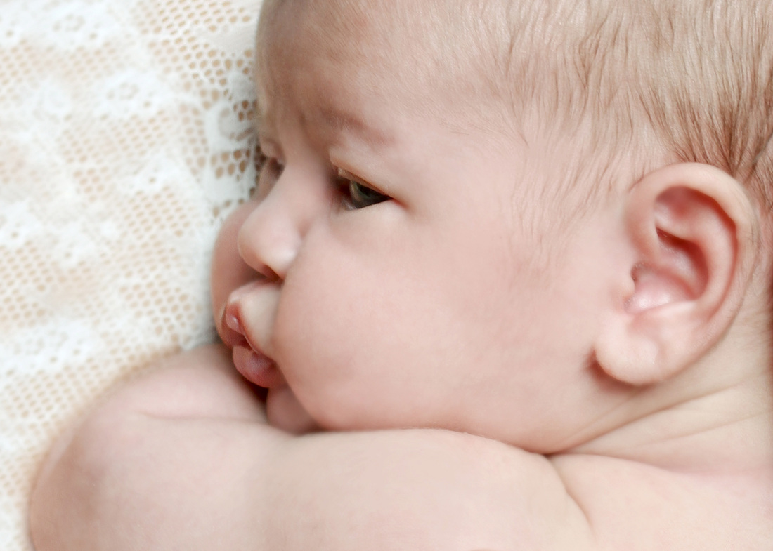 Newborn portrait. Close-up side angle. By Calm Cradle Photo & Design