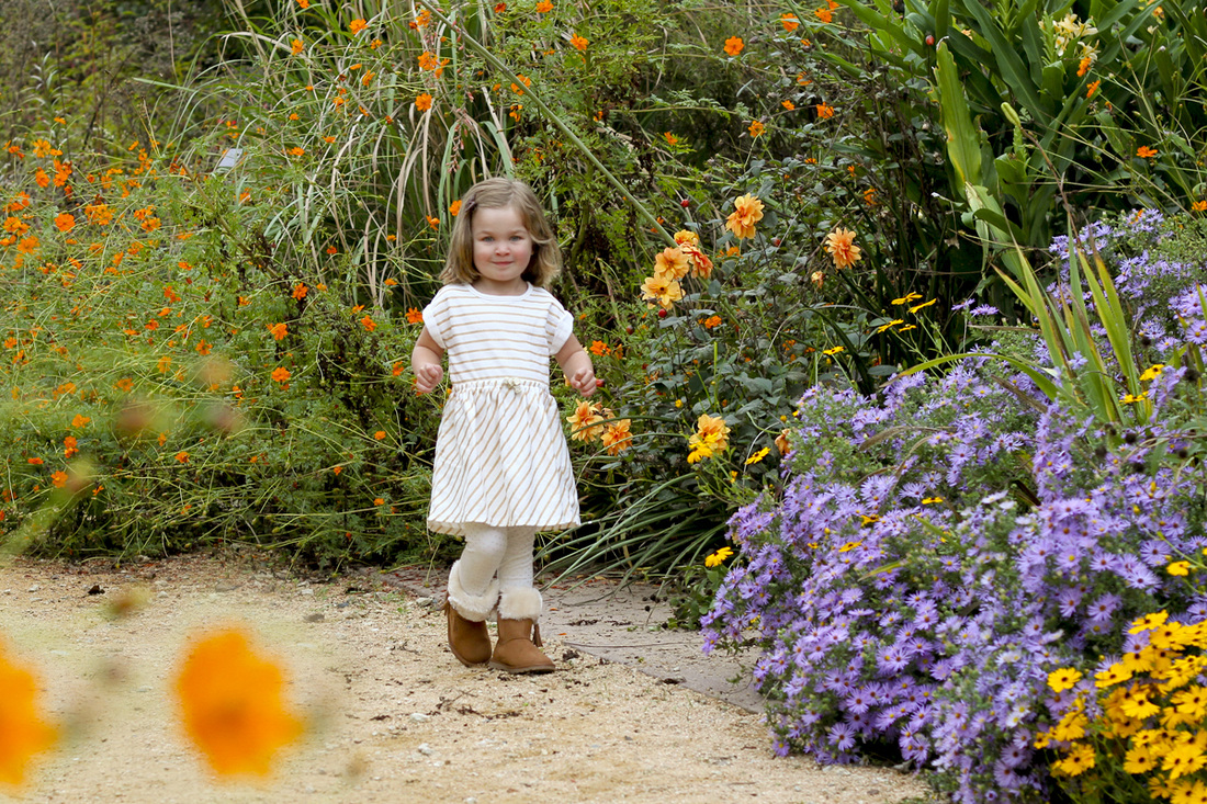 3-year-old portrait in the garden. By Calm Cradle Photo & Design