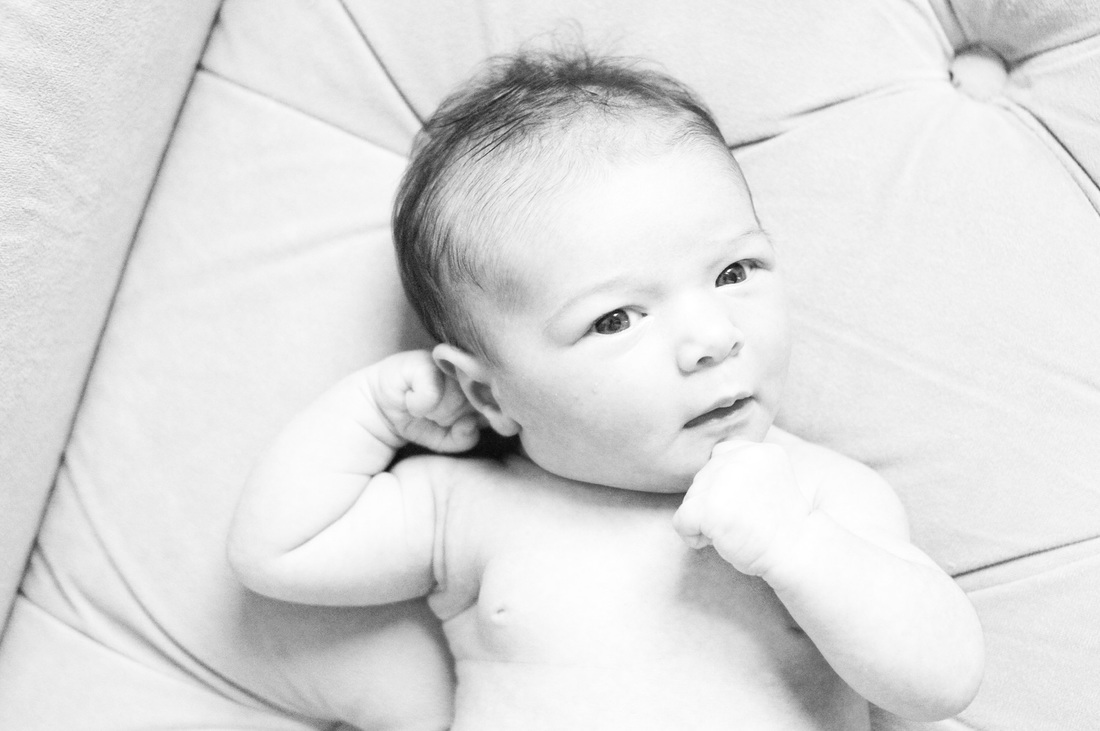 Lifestyle portraits: 1 month old in black and white. Photography by Calm Cradle Photo & Design. Chapel Hill, NC.