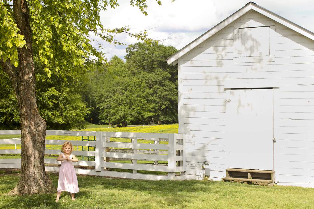 Lifestyle portraits: 4 years old at Fearrington Village. Pittsboro, NC. (Rural, farm, pasture, field.) Photography by Calm Cradle Photo & Design. Chapel Hill, North Carolina.