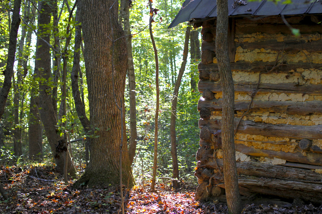 Old tobacco barn in the woods. Wetrock Farm, Durham, NC. Photography by Calm Cradle Photo & Design