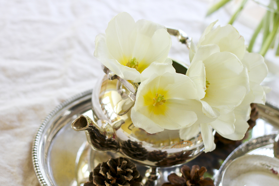 A winter bridal shower. Tea party. Silver tea set decorated with white tulips and pine cones. By Calm Cradle Photo & Design