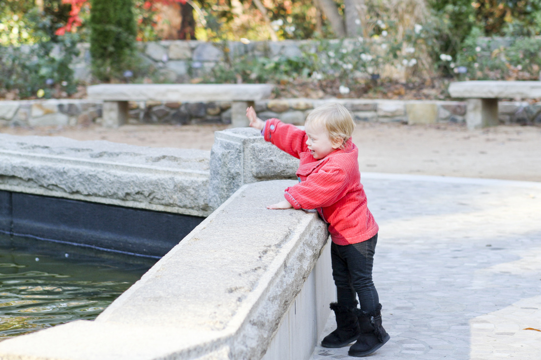 Throwing rocks in the fountain. Calm Cradle Photo & Design