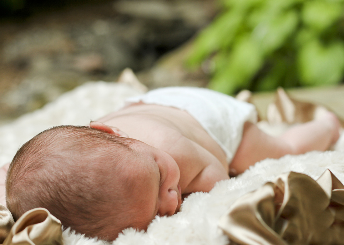 Backyard newborn portrait. By Calm Cradle Photo & Design