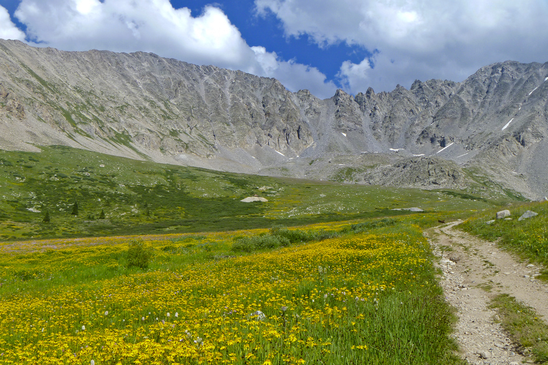 Mayflower Gulch brimming with yellow wildflowers. Calm Cradle Photo & Design
