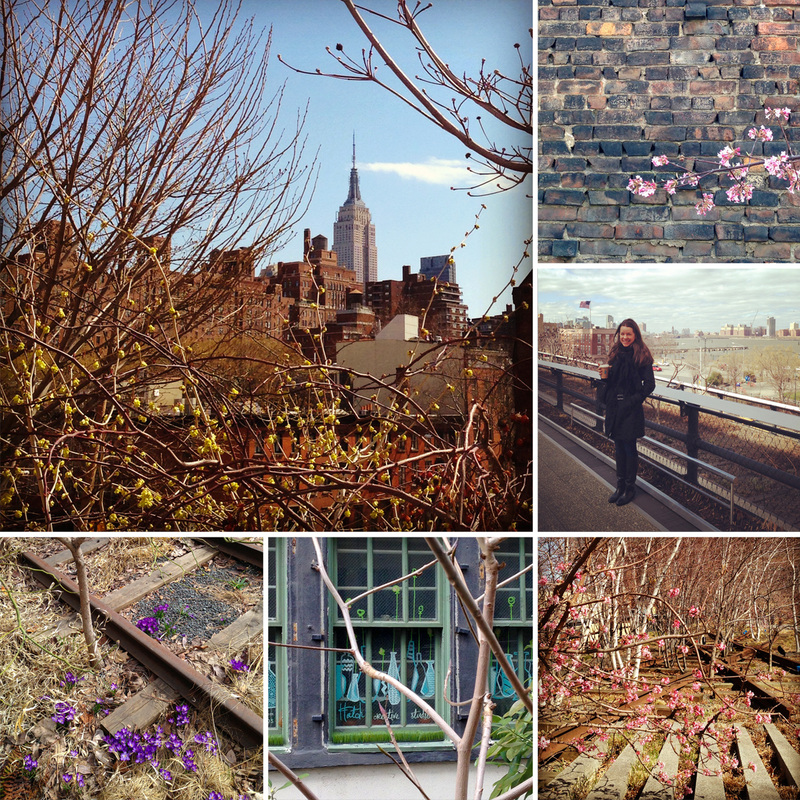 Scenes from the High Line, New York City. Photos by Calm Cradle Photo & Design