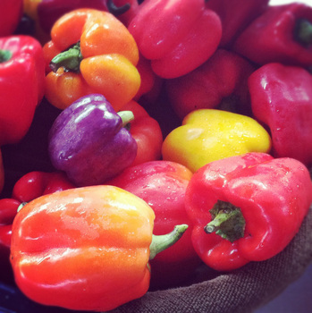 Peppers at the Eno River Farmers Market. Calm Cradle Photo & Design