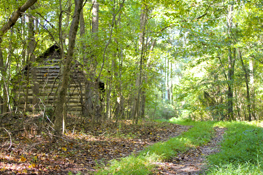 Old tobacco barn in the woods. Wetrock Farm, Durham, NC. Photography by Calm Cradle Photo & Design