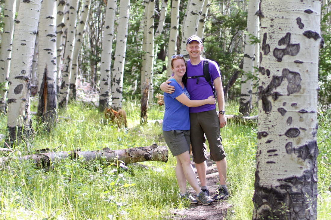 Newlyweds in a stand of aspen. Colorado. By Calm Cradle Photo & Design