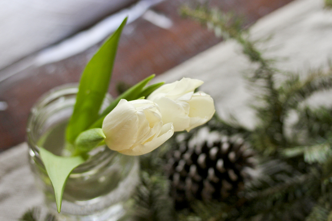 Winter white tulips, pine cones and Christmas tree boughs. Winter bridal shower tea party. By Calm Cradle Photo & Design