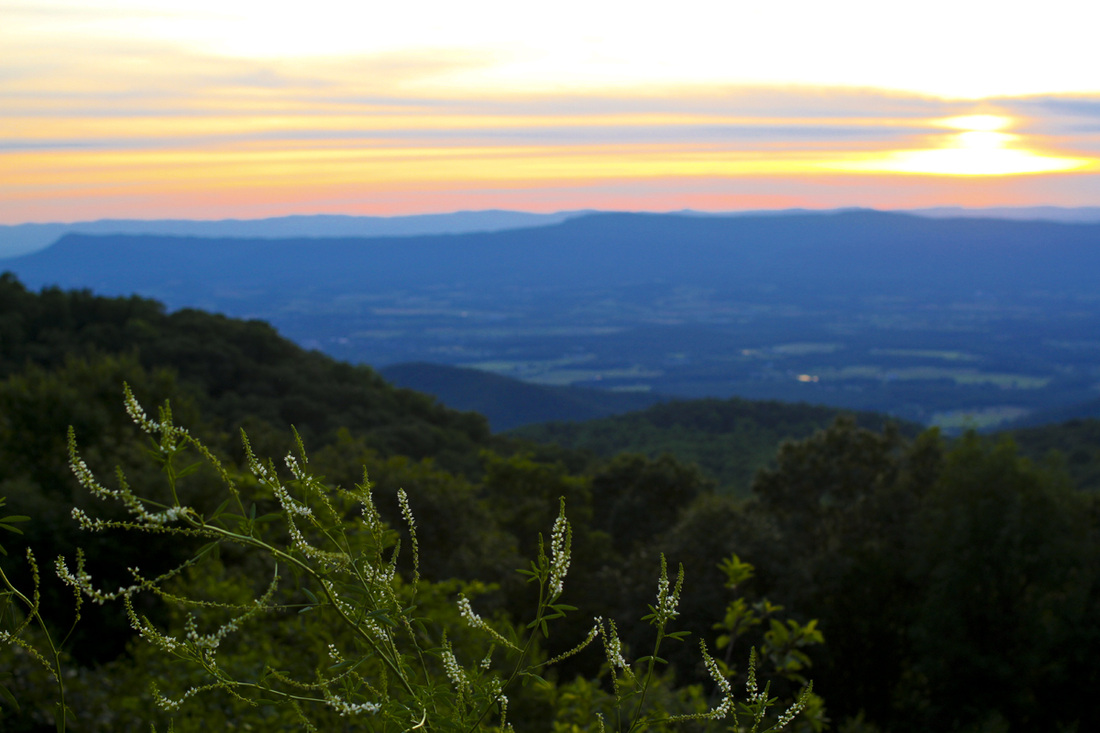Sunset over the Shenandoah Valley from Shenandoah National Park. Blue Ridge Mountains, Virginia. By Calm Cradle Photo & Design
