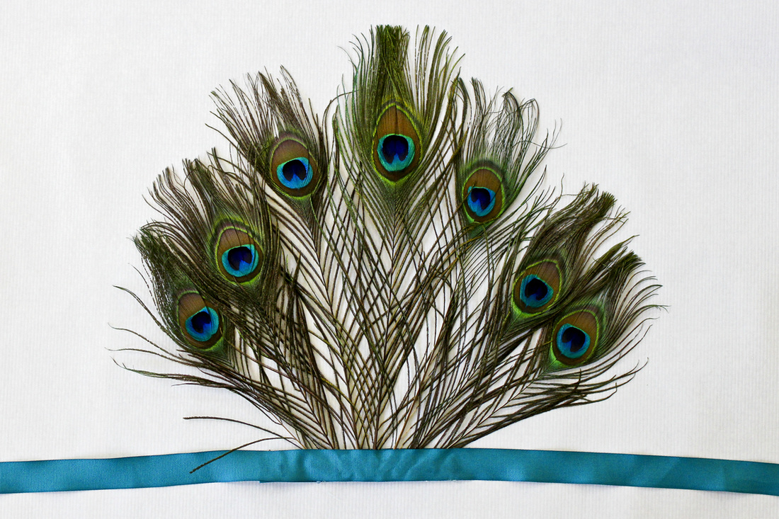 Peacock feather tail for toddler Halloween costume. By Calm Cradle Photo & Design