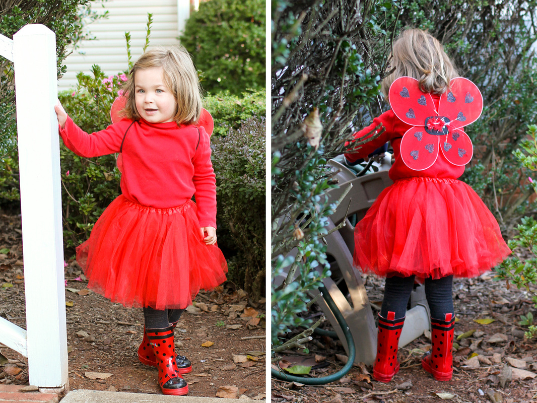 Lady Bug Girl Halloween costume. By Calm Cradle Photo & Design
