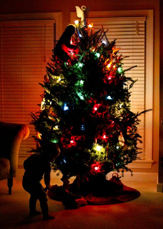 Toddler vacuuming around the Christmas tree. Silhouette with colored lights. By Calm Cradle Photo & Design