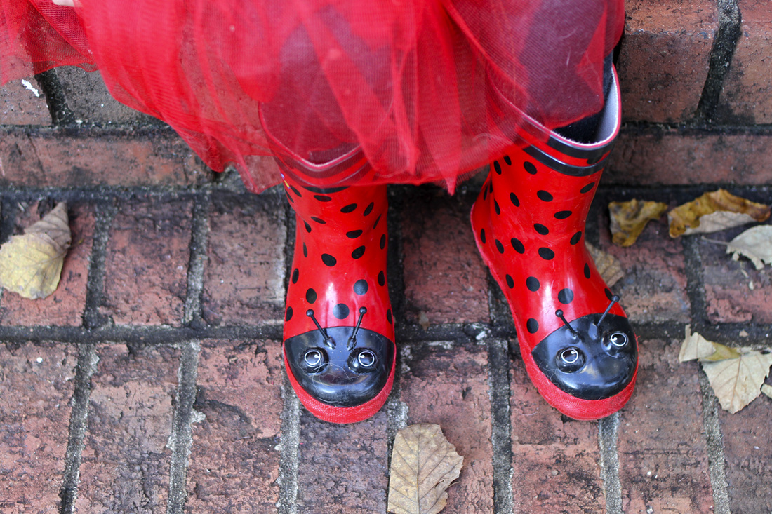 Lady Bug Girl Halloween costume with rain boots. By Calm Cradle Photo & Design