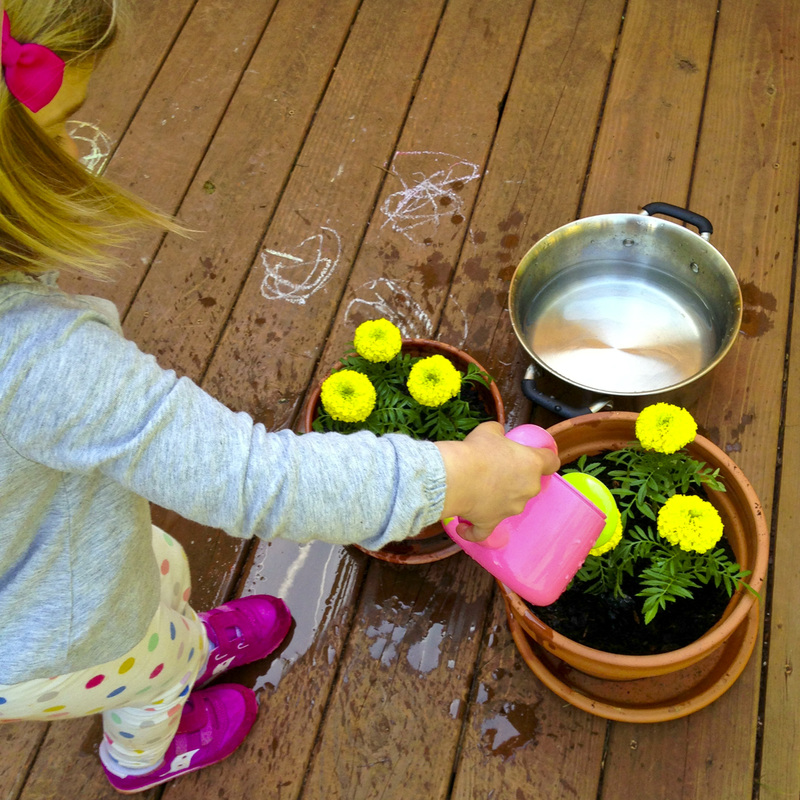 Watering her marigolds. Calm Cradle Photo & Design