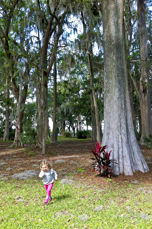 Dashing around the cypress. Kraft Azalea Garden. Winter Park, Florida. Calm Cradle Photo & Design