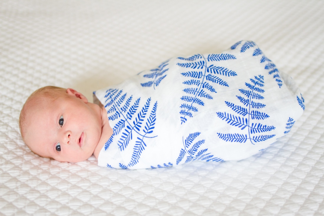 Lifestyle portraits: In-home newborn session + birth announcement design. (Minneapolis, MN) By Calm Cradle Photo & Design (Chapel Hill, NC)