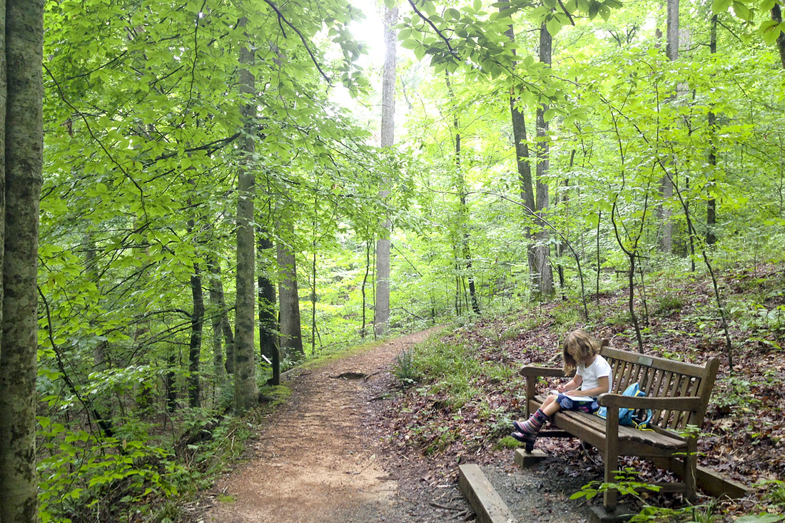 This series is a great resource on family-friendly outdoors activities in and around Pittsboro and Chapel Hill, North Carolina (NC). Hiking the Piedmont Nature Trails at the NC Botanical Garden. By Calm Cradle Photo & Design